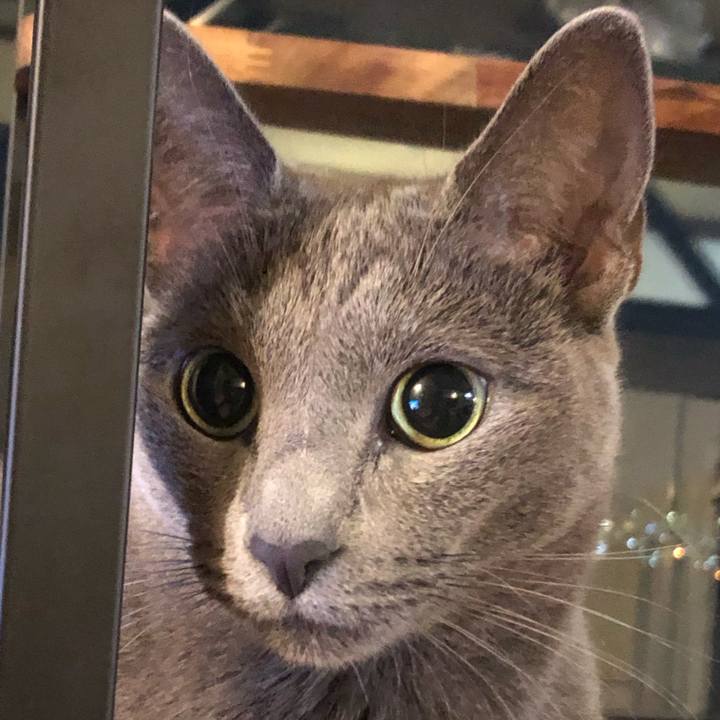 1544e1bf 6af3 43a3 bf26 24def4fa9ab5 1634381812009