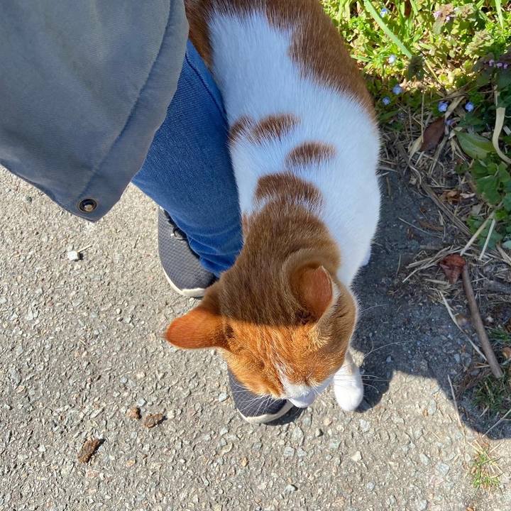 15450515 98fc 4c0b be0f 65fa7b997ec3 1649489675498