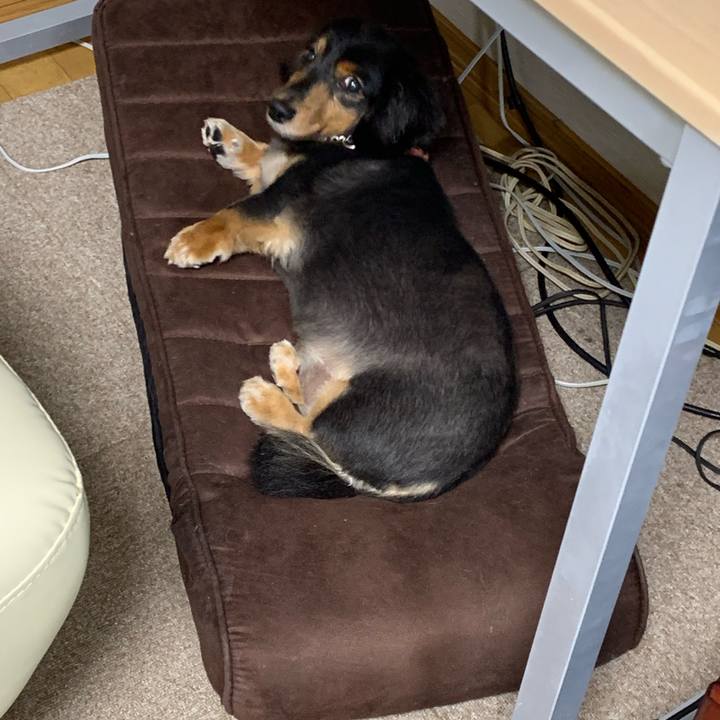 15452631 035a 49d9 8aca d37d646c6b0f 1562704260082