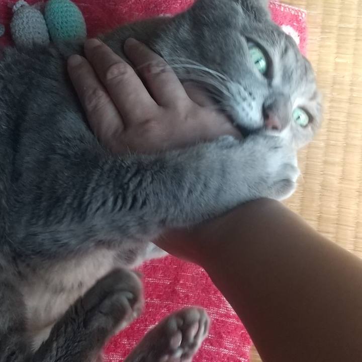 154561d5 0b66 445a 9a2b 001d4fc9ef04 1664601387757