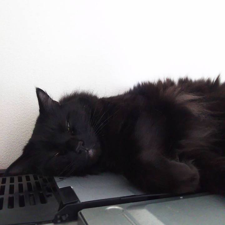 154584a9 c9b6 4259 b8ca 966b32aa0a1d 1514872937589