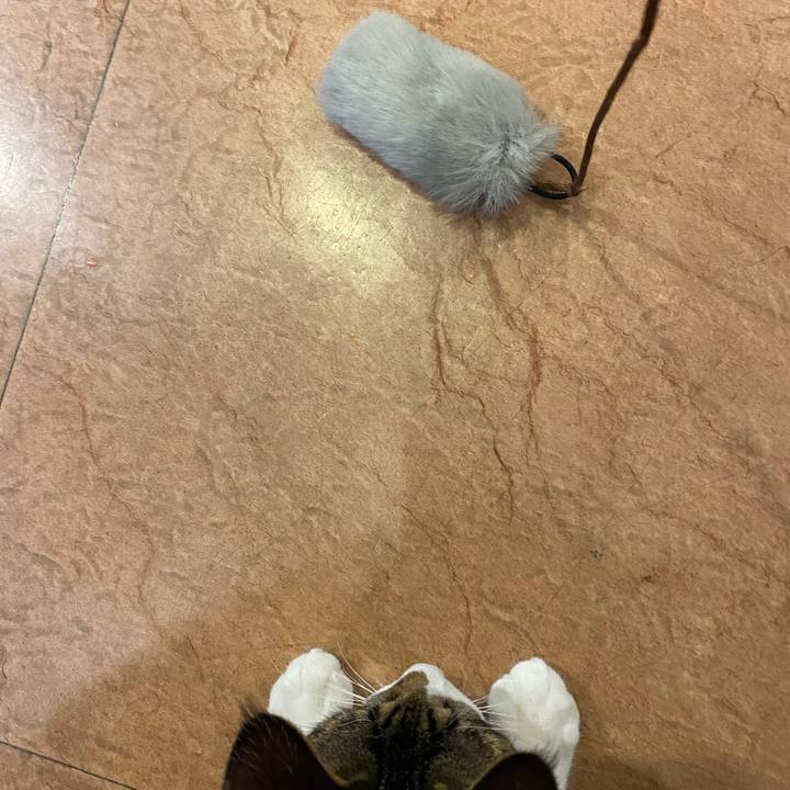 1545a8ab e0b0 42fb 9793 72781afd2715 1637828278499