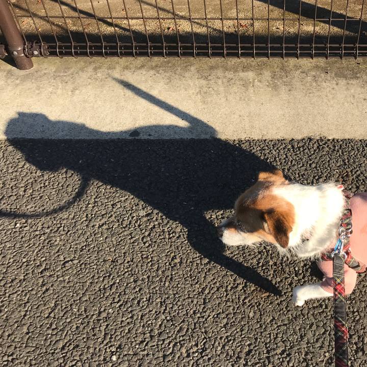 1545b3f7 61ea 4a25 a02f 034ea62bd05f 1575444111894