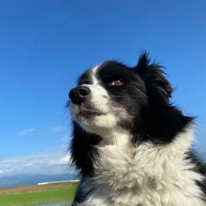 1545b86c 9309 42a2 8179 d56c4b5827e1 1594942039932