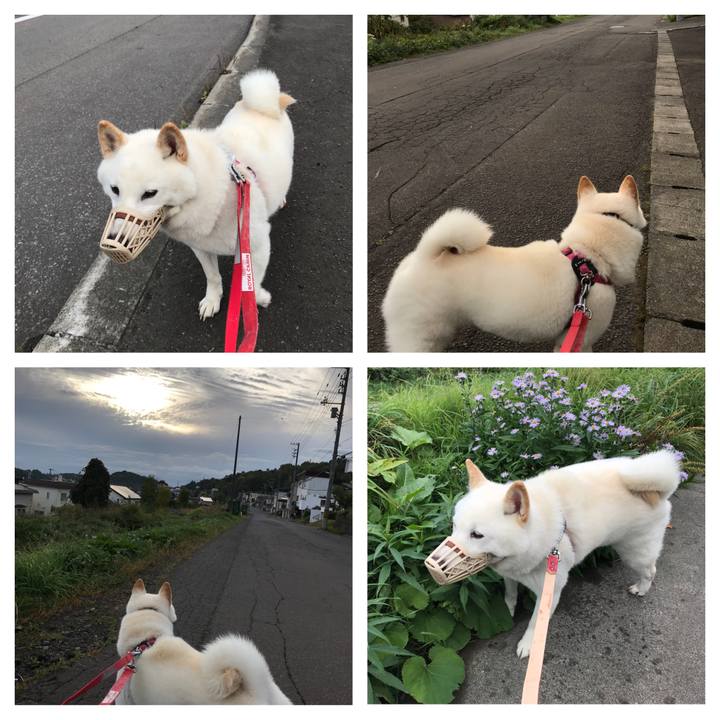 1545cda3 76ee 475c 8fe7 f67c157540e5 1538215954571