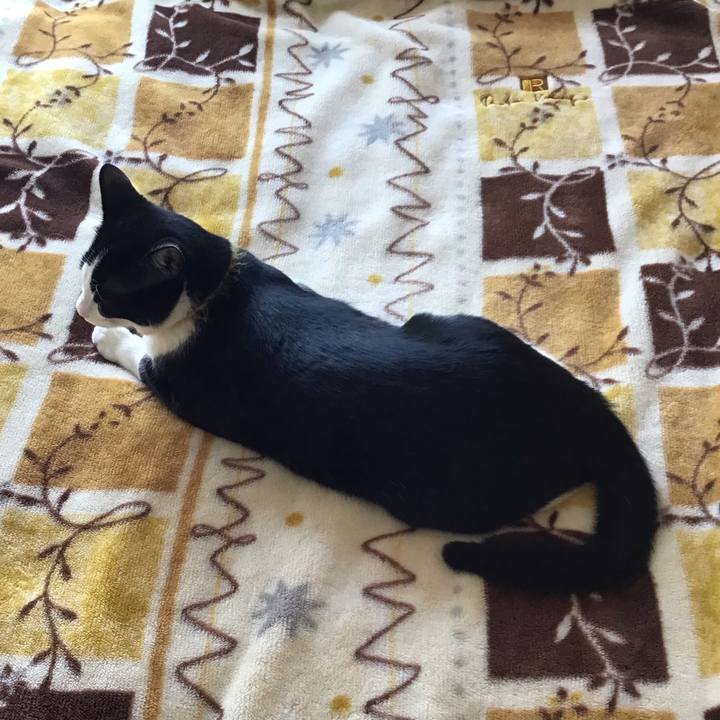 1545e71b 3330 46eb 8091 5c663f0e6a6d 1648445675859