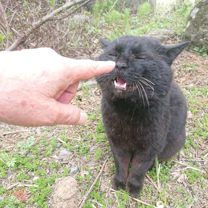 1545f103 82eb 4c36 abf8 e9711ab43458 1650805138797