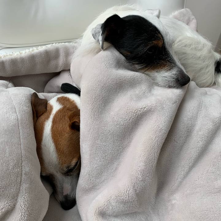 15465f30 cb05 487d a45d f6908f382c94 1583108779074