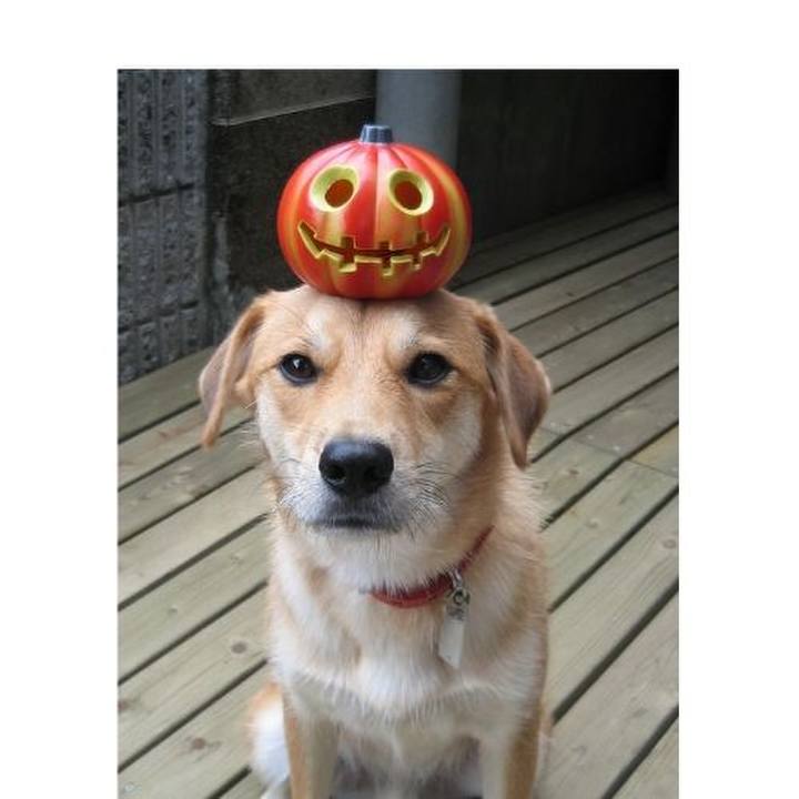 1546708c 730a 49ea 9a71 a39004c230cc 1509279099916