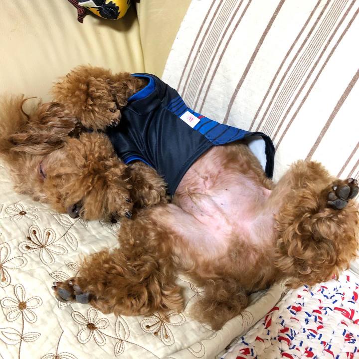 15468b03 13cf 44a5 bc67 89fe0e380bd0 1590297696647