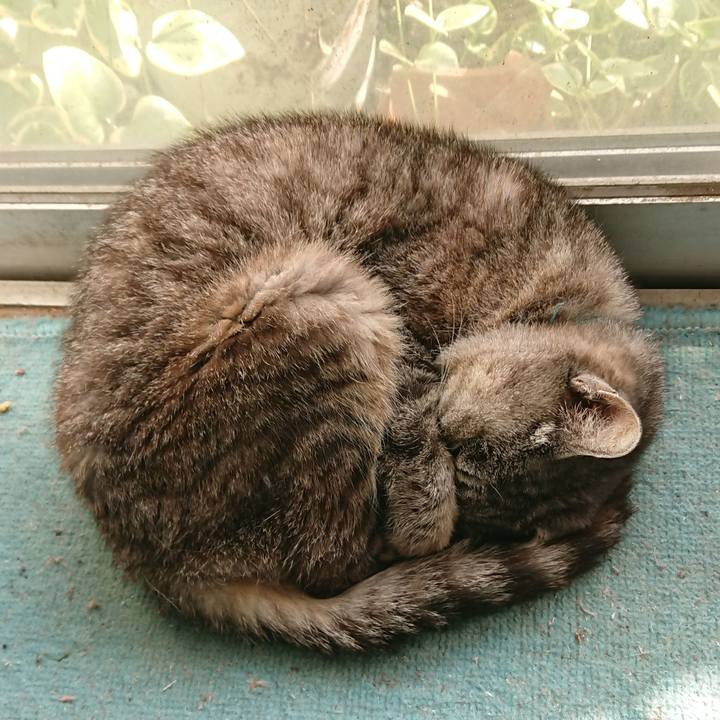 1546b4de 0065 4af1 bf48 63e99c1840fc 1570252684606