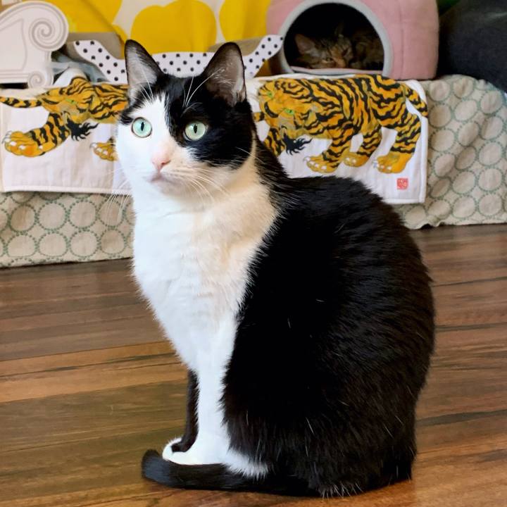 1546c750 0e0c 4c01 964e 3e55da21310e 1644059493459