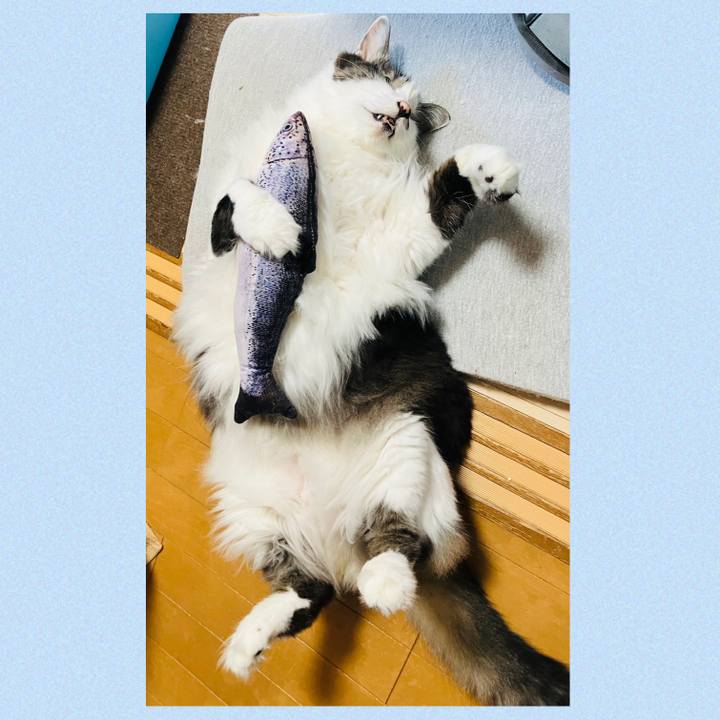 1546c7e1 8934 491f b249 e0d08a466dc6 1758070350897