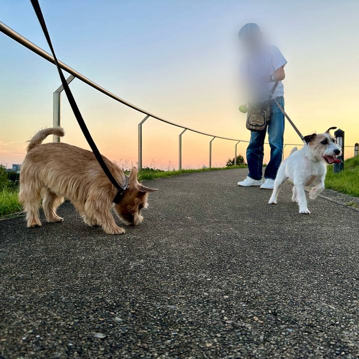 1546d7e0 ef45 4462 b604 13d3778559a0 1728767981411