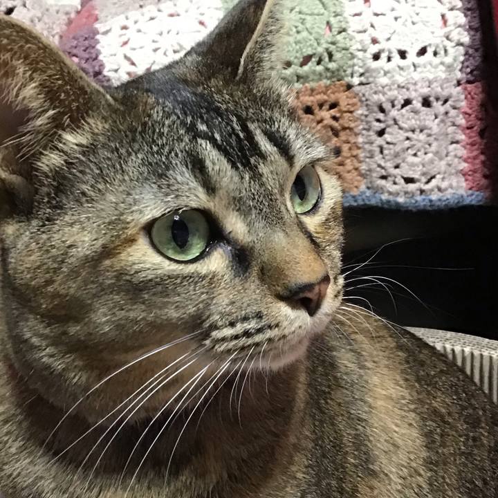 1546e7e1 dae9 4237 aa4c c83b02fe1ecd 1704019003604