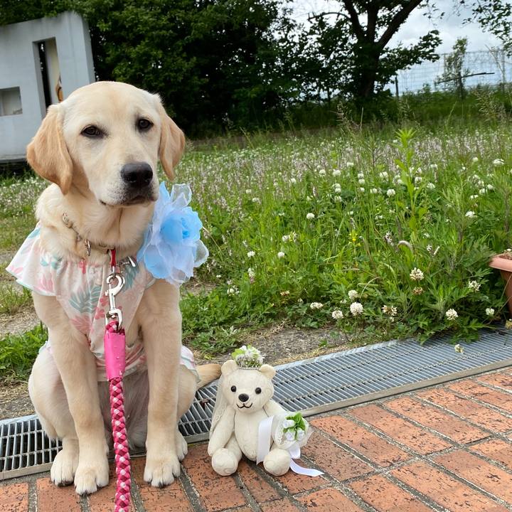 154708fd 325d 4501 9c83 4edb4a89162c 1619951747869