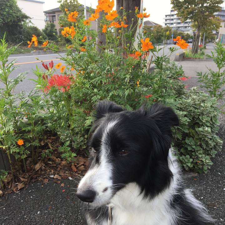 15472b7e 1f73 435b b0d8 1e57aaf79075 1537083276665