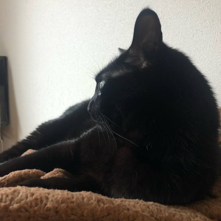 154734aa 13ac 406e 8d4d 5dd924f9d250 1585451479949