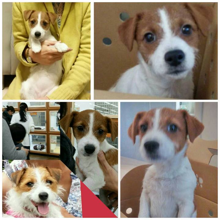 1547570d 0949 4c0c ad4d 169e29073e7e 1536978791810