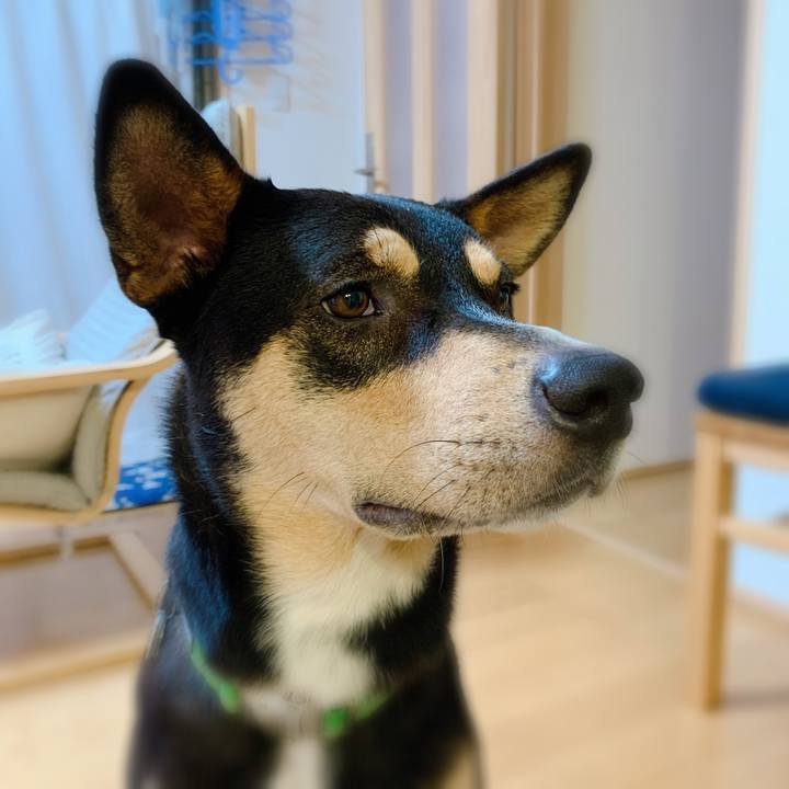 154774b7 e32f 4cb5 bbfd 46c285d434e1 1569721383342