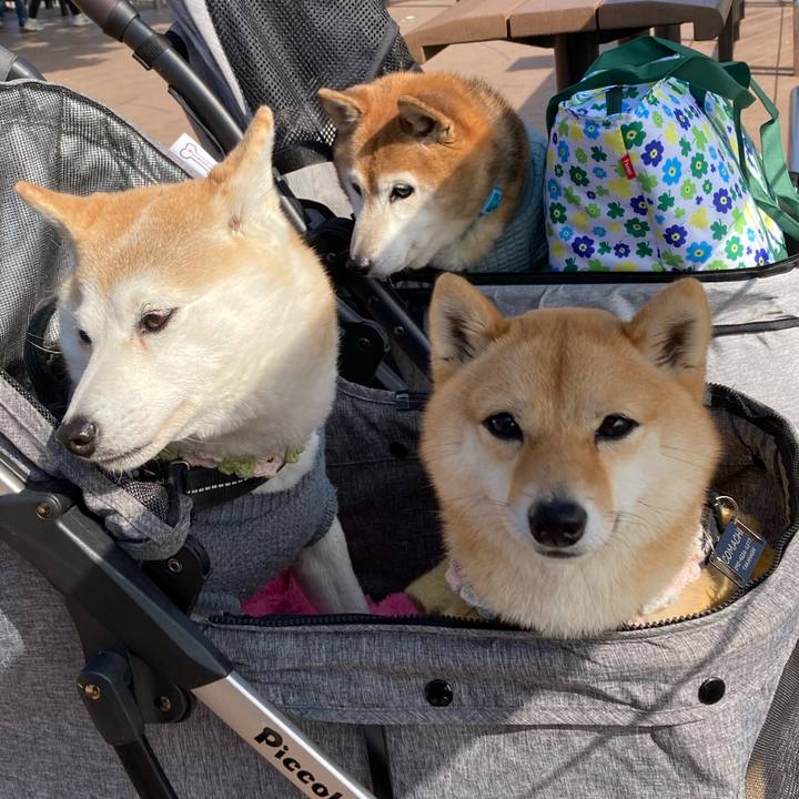 15477e51 0984 4a1d 9d7c e5867b542736 1771412070646