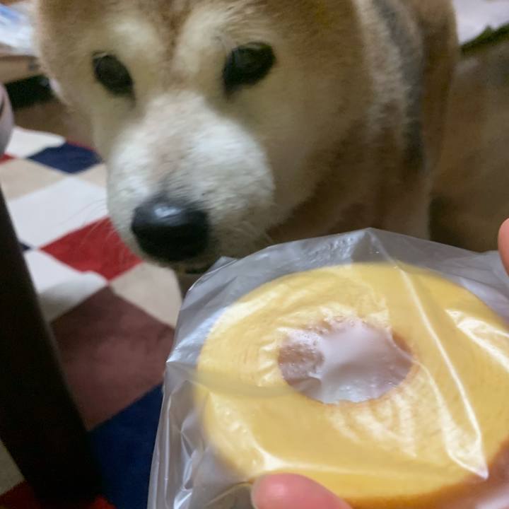 1547840d ef4f 42fa 9bf4 eb8c7396b719 1660221733070