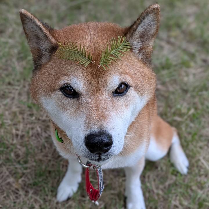 15478576 ccbd 4dd1 a98b f29ba2d746a0 1760333442563