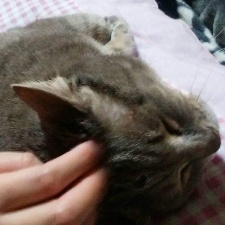 1547becd 16de 4f53 bb2a 7dc7e95940c4 1558091929926