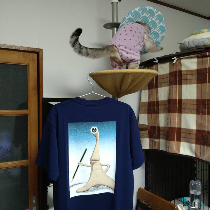 1547cf15 b3b4 4310 93bb 171bce91236b 1739360773812