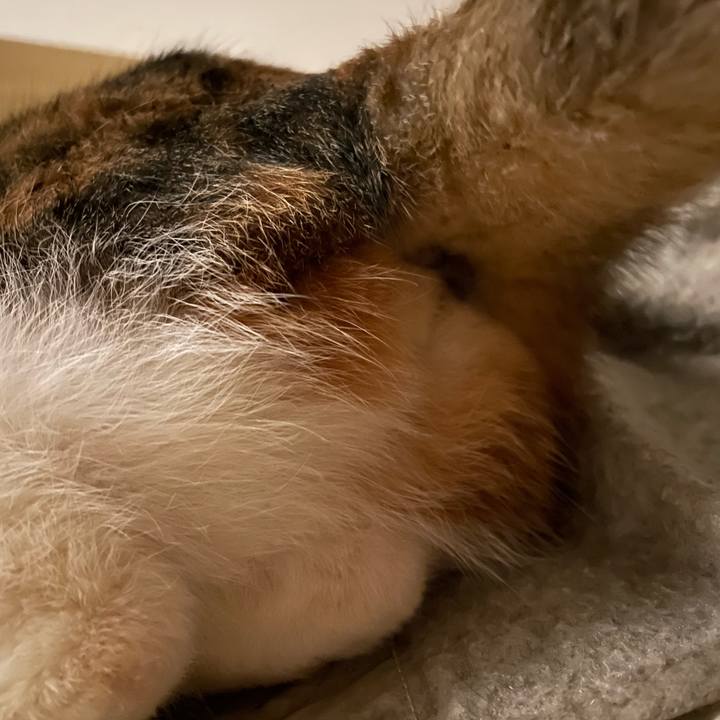 1547debe 797c 4084 8259 9a38aba9dd93 1678797065411