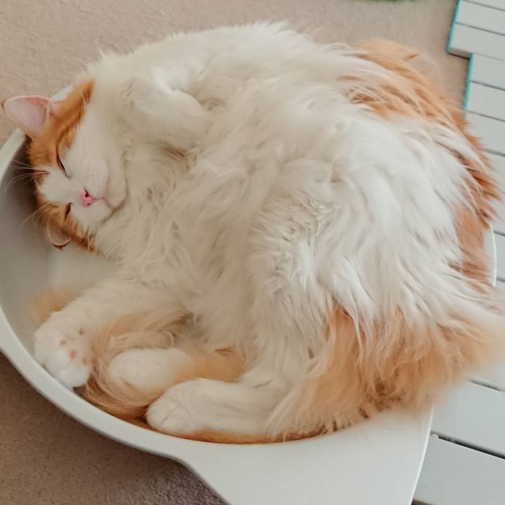 1547ec23 10e3 4c9d b1ff aad626b54536 1531628372801