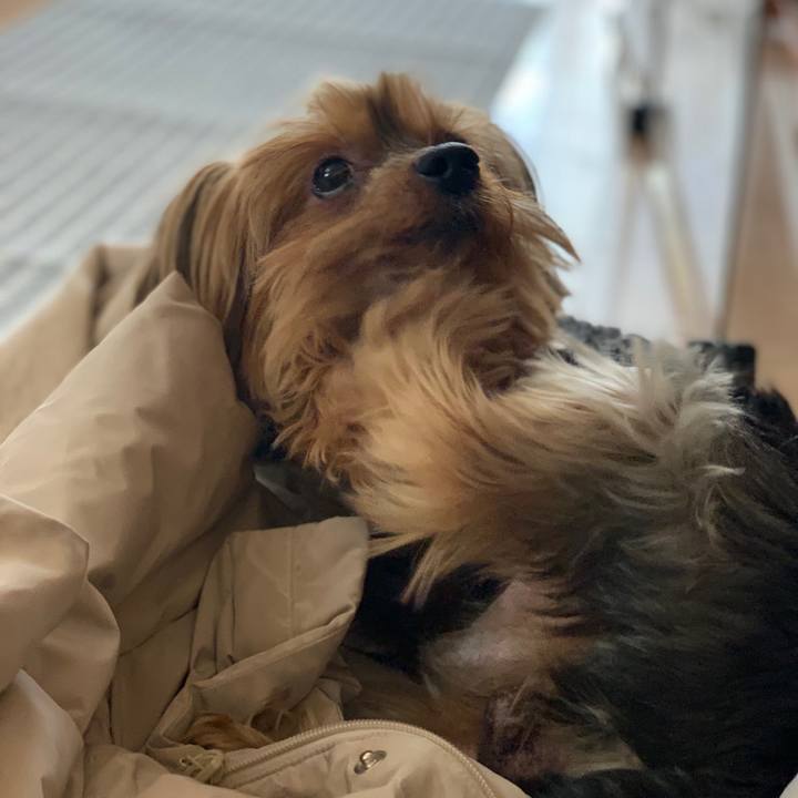 154818ed d1d4 4338 93cc 55b462dd65b1 1580872346527