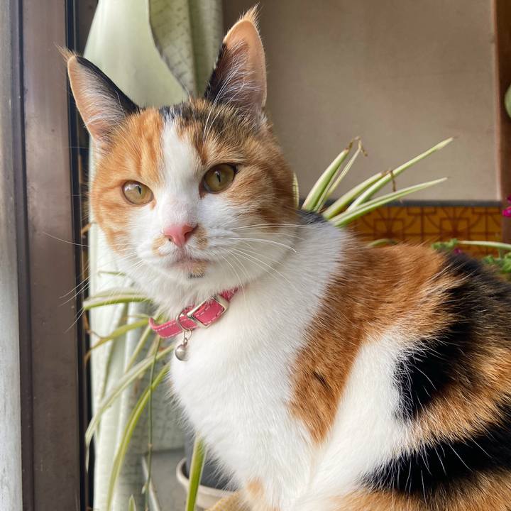 15482dc6 2287 4c9b a638 f7f77e406487 1645946408933