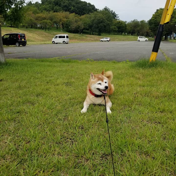 15483d42 7bd1 43f3 bc8a dbb5c3656006 1726720729565