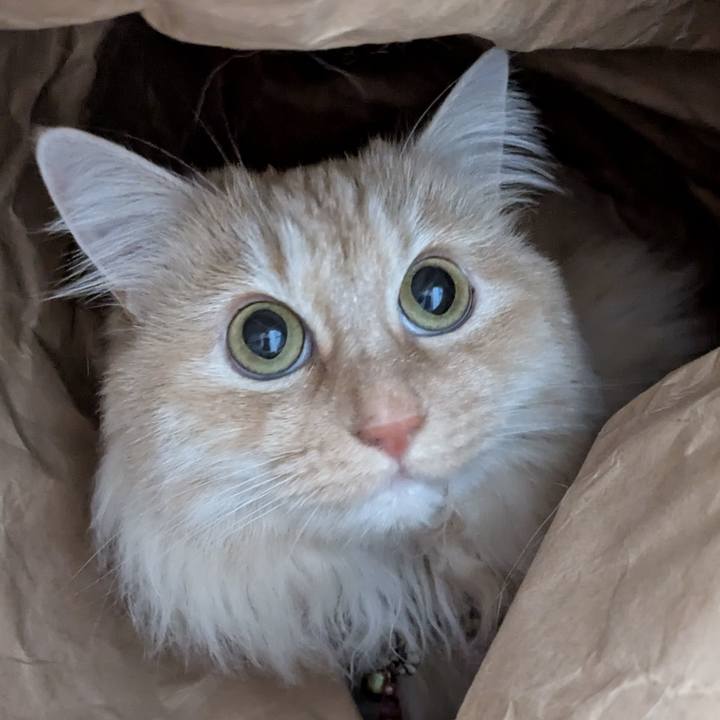 15486820 261e 4d35 a8e8 2d6a0455114e 1775355509007