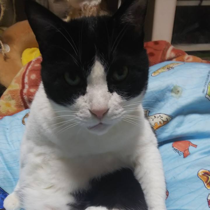 15487fec 5b6d 4844 91b0 820c1ae6396f 1585303516548