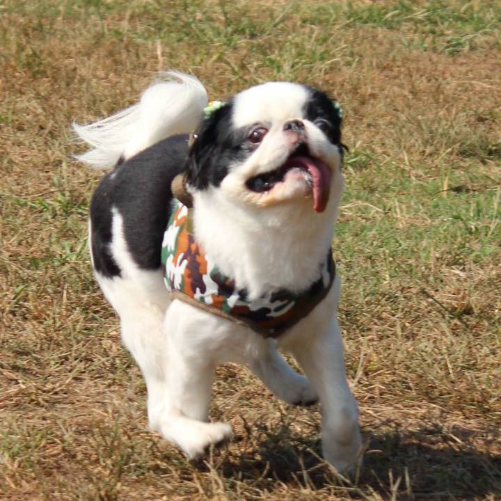 1548aaa0 2806 42ea a9df db49f3ac2835 1701230157771