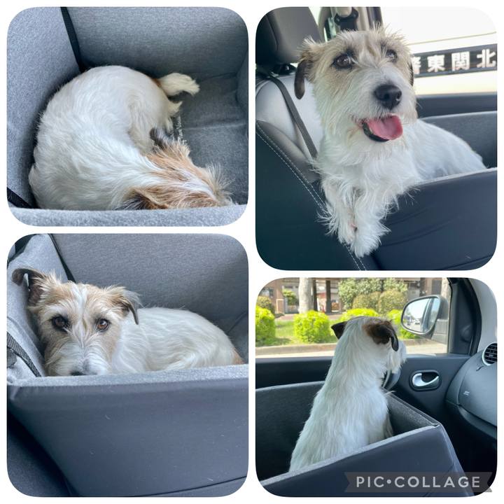 1548b01e b3ae 49d0 89a5 a399718efc1f 1649388332485