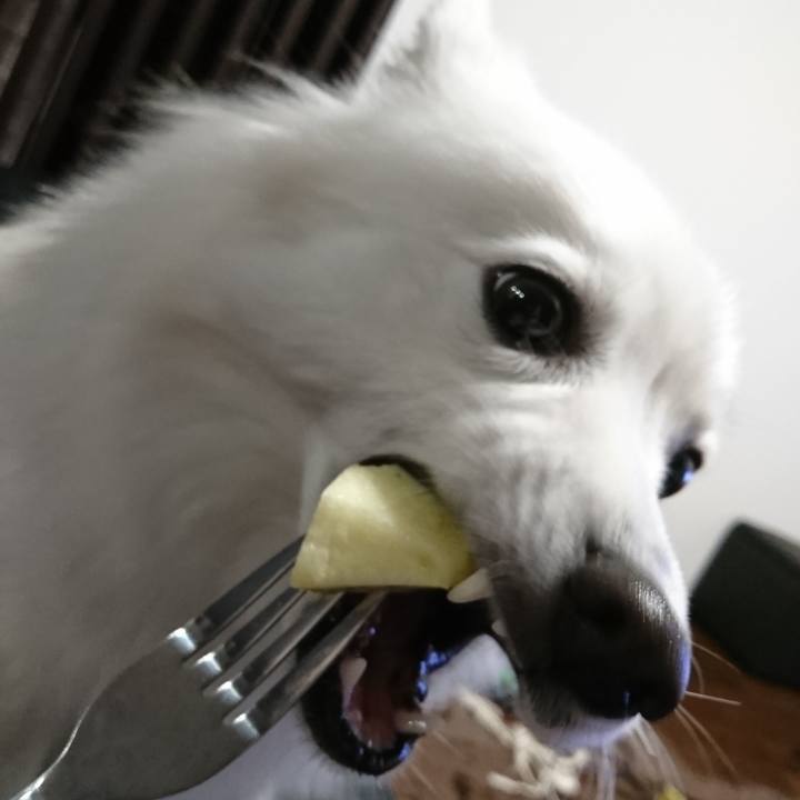 1548db14 8b8c 4a2b b6f0 51dc11d2558b 1543412791960