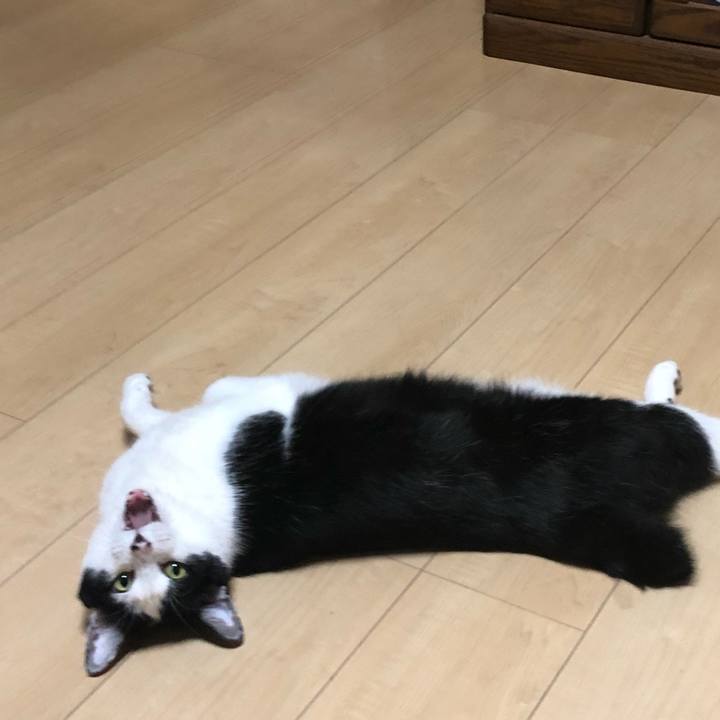 1548f9a9 ea50 4c85 bc82 c2142087182a 1557492437013