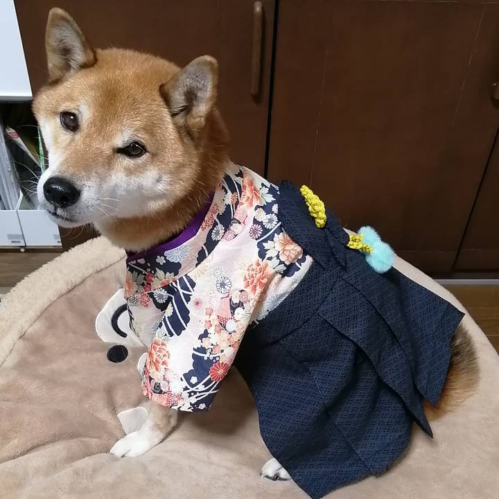 15491048 ee1f 4d4e bd2c f2df332ed111 1604755471003