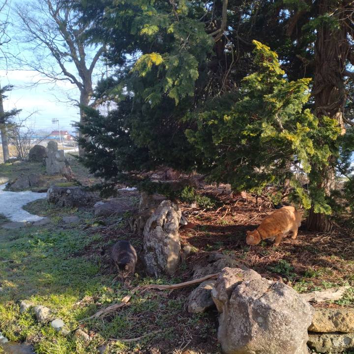 15491a70 4142 494b 861f 39e37edcac13 1678777410751