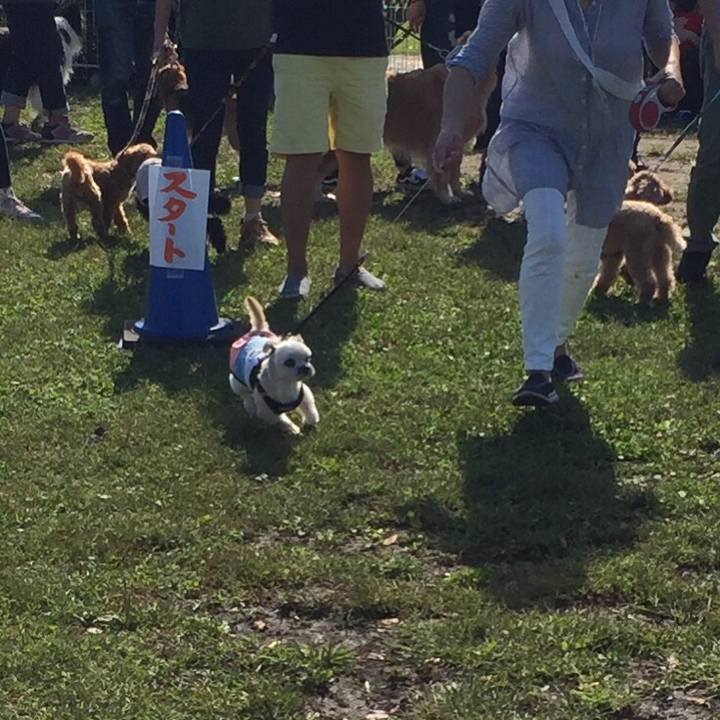 15492291 87f3 447c a8dd 4e631a7c8bb4 1538815516409