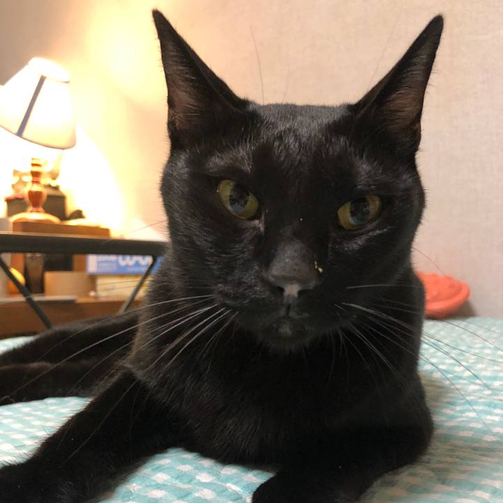 154943b0 14f9 4b9a af65 6ce48ab8f0f4 1660134845894