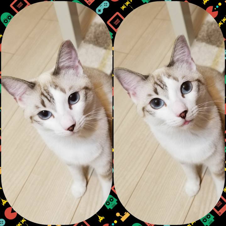 15498704 71a2 4456 ad3c 0ad251c0fbd3 1508681321166