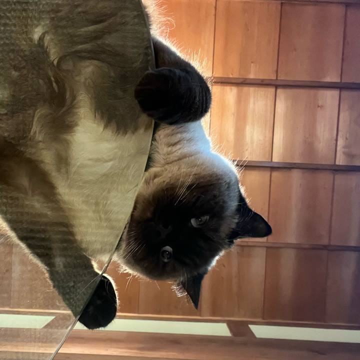 1549f34b cb2e 450d 9c75 c3bfa289a969 1652880813953