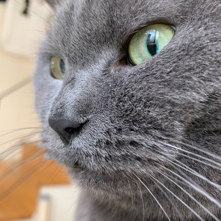 154a1439 a038 4e63 878b 09950c40185e 1668815910220