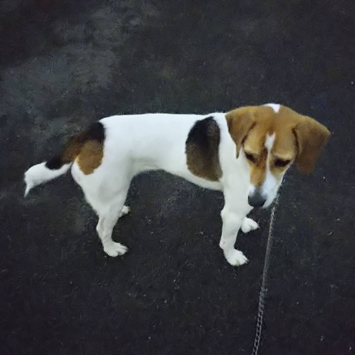 154a1c64 7133 408e 98d0 95bdd98fcec9 1579788549660