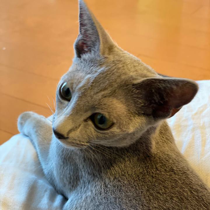 154a4124 1ff8 4757 baeb a5c59b4aed79 1596717440672