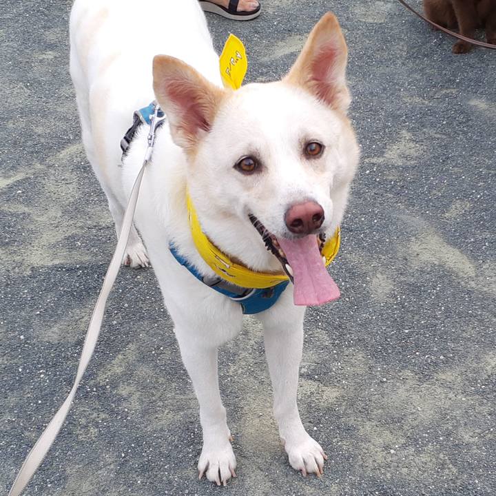 154a419e f753 4966 b0cc 901ace647e9e 1659345373400